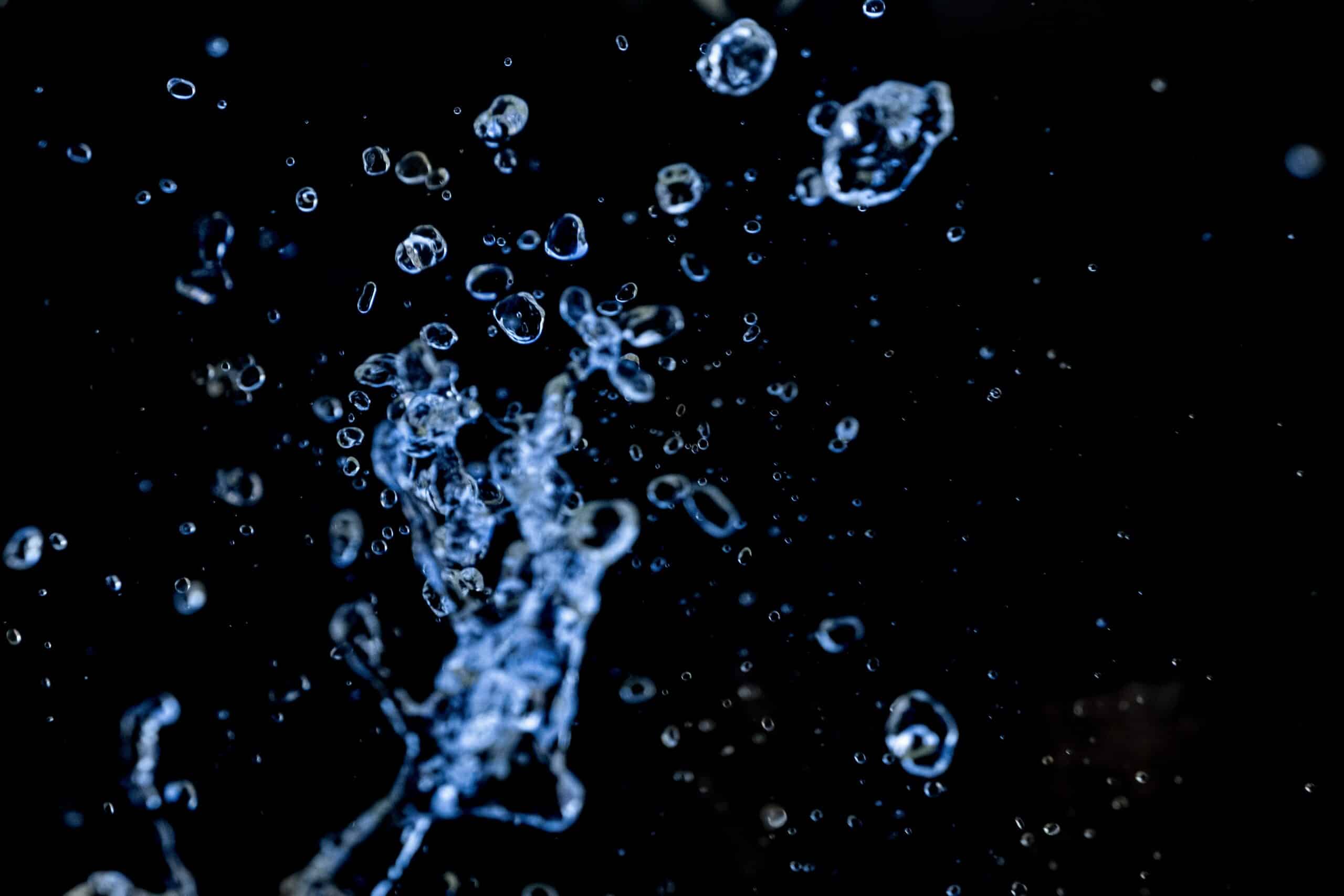 Moritz Kindler Bxw3a0nyxk Unsplash